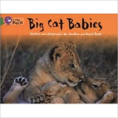 Cover for Jonathan Scott · Big Cat Babies: Band 05/Green - Collins Big Cat (Pocketbok) (2005)