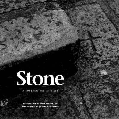 Stone: A Substantial Witness - David Scheinbaum - Książki - Museum of New Mexico Press - 9780890134948 - 1 października 2006