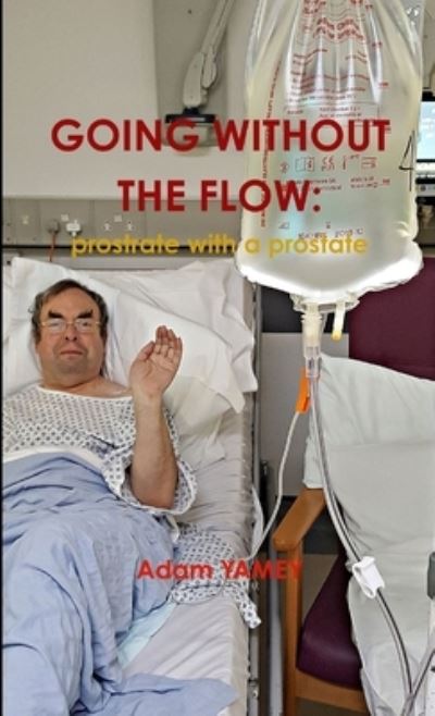 Cover for Adam Yamey · Going Without the Flow (Book) (2016)