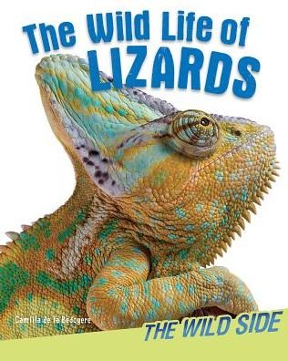 Cover for Camilla De La Bedoyere · The Wild Life of Lizards (Hardcover bog) (2014)