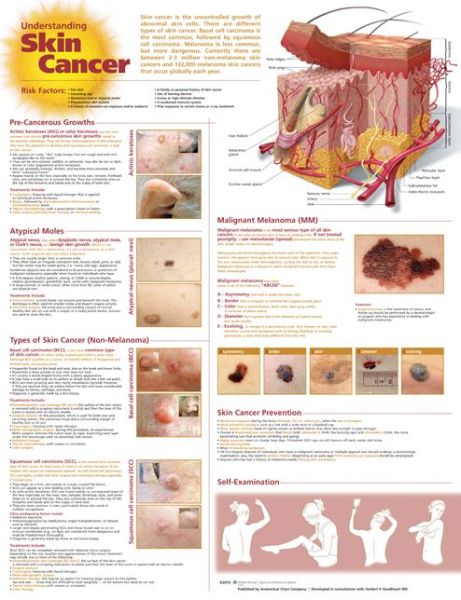 Cover for Anatomical Chart Com · Understanding Skin Cancer Anatomical Chart (Kartor) (2011)