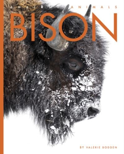 Cover for Valerie Bodden · Bison (N/A) (2022)