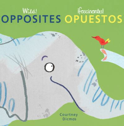 Cover for Courtney Dicmas · Opposites / Opuestos (Book) (2019)