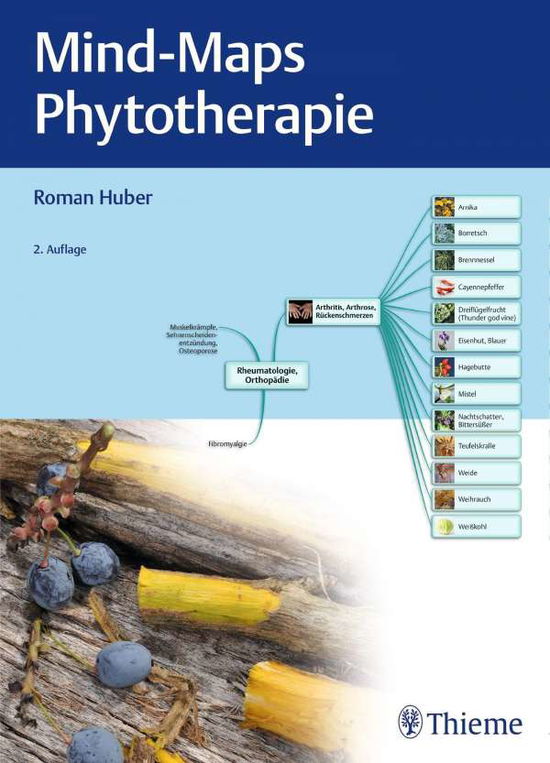 Cover for Huber · Mind-Maps Phytotherapie (Bok)