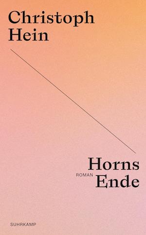 Horns Ende - Christoph Hein - Books - - 9783518473948 -