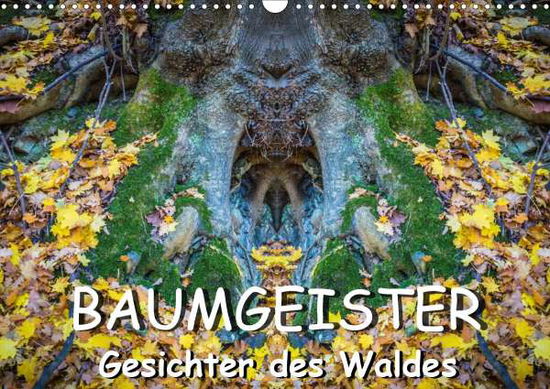 Cover for Döring · Baumgeister, Gesichter des Walde (Book)