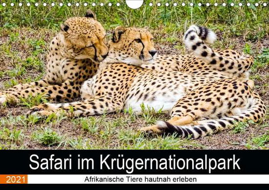 Safari im Krügernationalpark (W - Kärcher - Books -  - 9783672274948 - 