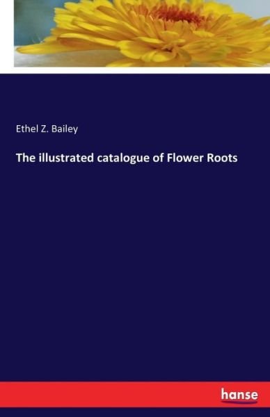 Cover for Bailey · The illustrated catalogue of Flo (Book) (2016)