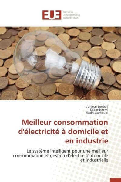 Cover for Derbali Ammar · Meilleur Consommation D'electricite a Domicile et en Industrie (Paperback Bog) (2018)