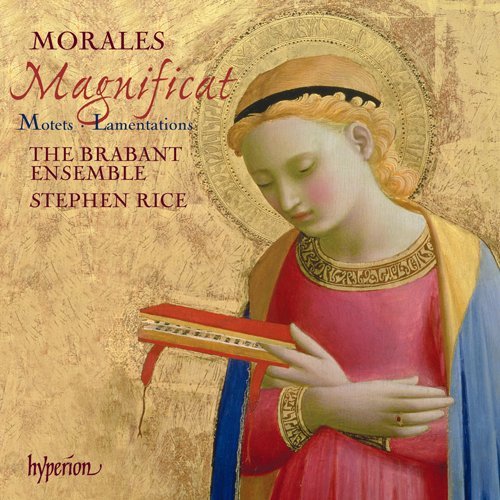 Moralesmagnificat - Brabant Ensemble & Rice - Musik - HYPERION - 0034571176949 - 1. september 2008