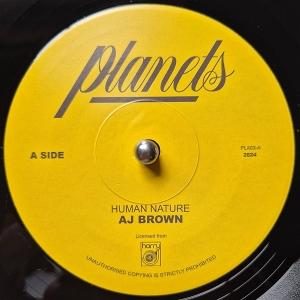 Human Nature - Aj Brown - Musik -  - 0658606049949 - 