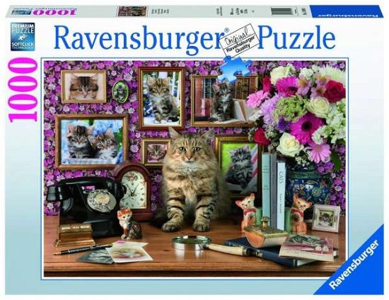 Puzzel 1000 stukjes Mijn katjes - Ravensburger - Marchandise - Ravensburger - 4005556159949 - 2020
