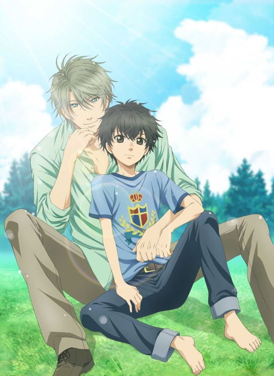 Cover for Abe Miyuki · Super Lovers 4 &lt;limited&gt; (MDVD) [Japan Import edition] (2016)