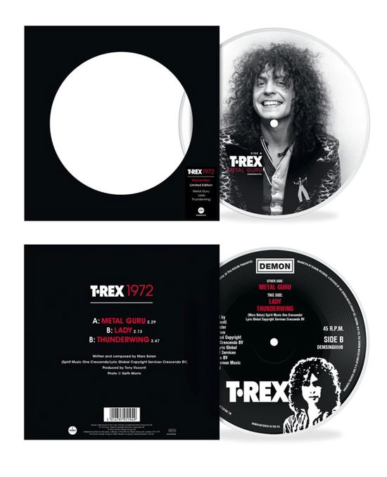 Cover for T. Rex · Metal Guru / Thunderwing / Lady (LP) (2024)