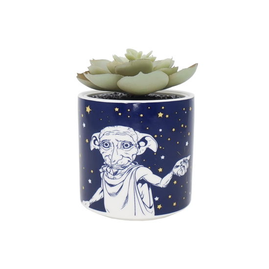 Cover for Harry Potter: Half Moon Bay · HARRY POTTER - Dobby - Faux Plant Pot 6.5cm (Leketøy)