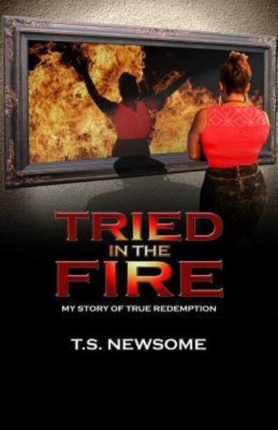 Cover for T S Newsome · Tried in the Fire (Paperback Book) (2015)