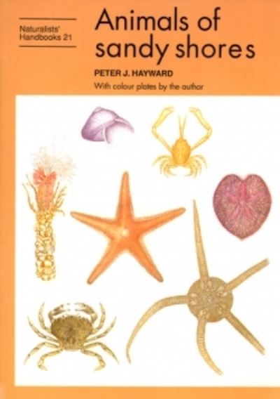 Cover for Peter J. Hayward · Animals of sandy shores - Naturalists' Handbooks (Hardcover Book) (1994)