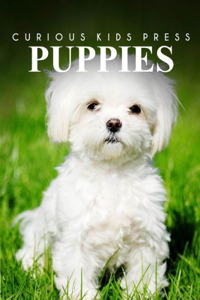 Cover for Curious Kids Press · Puppies - Curious Kids Press (Paperback Book) (2014)