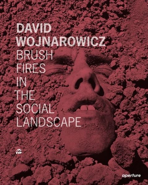 Cover for David Wojnarowicz · David Wojnarowicz: Brush Fires in the Social Landscape (Hardcover Book) [Revised Ed. edition] (2015)