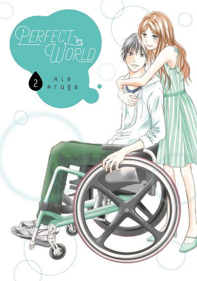 Cover for Rie Aruga · Perfect World 2 (Paperback Book) (2020)