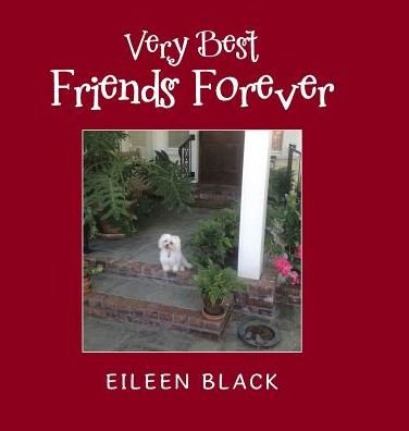 Cover for Eileen Black · Very Best Friends Forever (Hardcover bog) (2019)