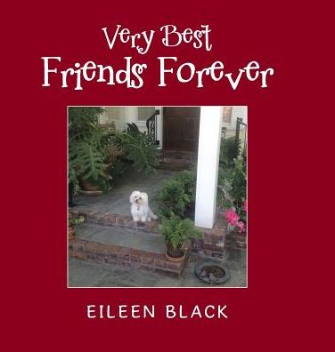 Cover for Eileen Black · Very Best Friends Forever (Hardcover Book) (2019)