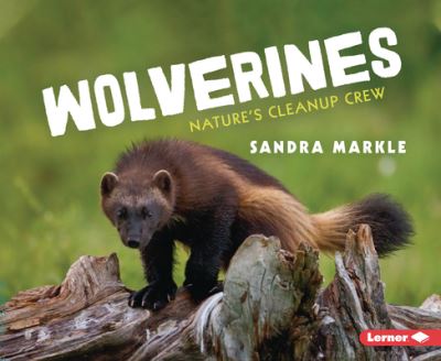 Cover for Sandra Markle · Wolverines (Book) (2023)