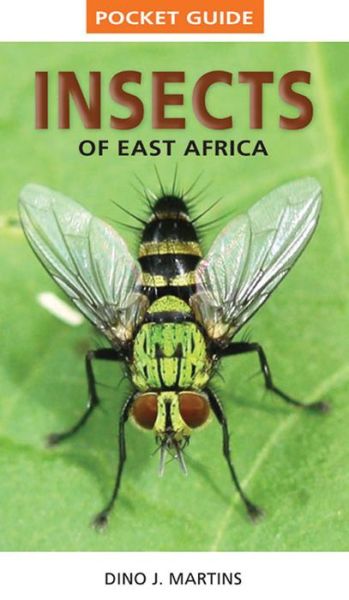 Pocket Guide Insects of East Africa - Pocket Guide - Dino J. Martins - Książki - Penguin Random House South Africa - 9781770078949 - 26 lutego 2015