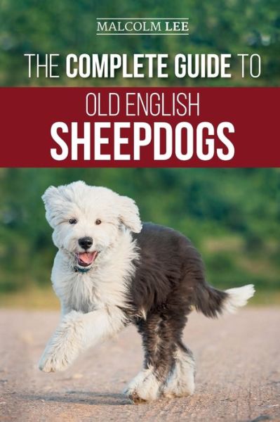 Cover for Malcolm Lee · The Complete Guide to Old English Sheepdogs (Paperback Book) (2020)