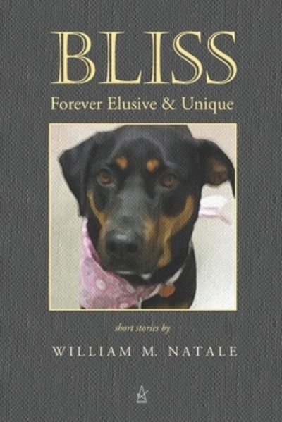 Cover for William M Natale · Bliss (Paperback Book) (2021)