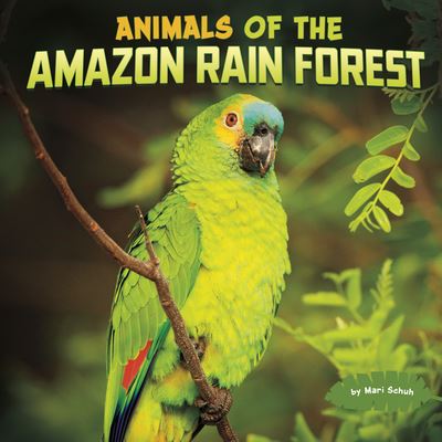 Cover for Mari Schuh · Animals of the Amazon Rain Forest (Paperback Book) (2021)