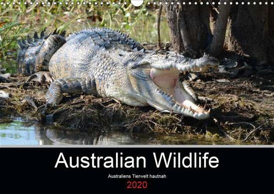 Cover for Brown · Australian Wildlife (Wandkalender (Book)