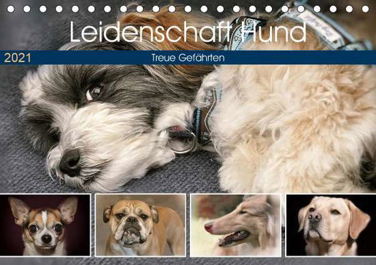 Leidenschaft Hund (Tischkale - Metternich - Książki -  - 9783671977949 - 