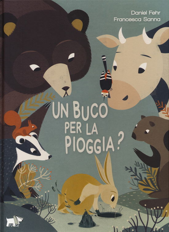 Un Buco Per La Pioggia? Ediz. A Colori - Daniel Fehr - Książki -  - 9788832186949 - 