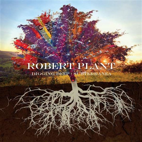 Cover for Robert Plant · Digging Deep: Subterranea (CD) [Limited edition] (2020)