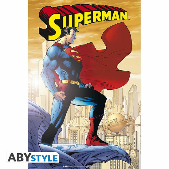 DC COMICS - Poster Superman (91.5x61) - Großes Poster - Merchandise -  - 3665361062950 - 7. Februar 2019