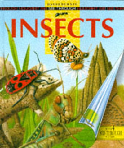 See Through Insects - See through history - David Burnie - Livres - Heinemann Educational Books - Library Di - 9780600583950 - 14 août 1995