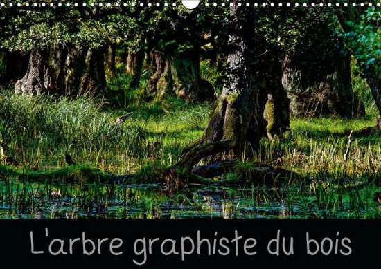 Cover for Angot · L'arbre graphiste du bois (Calend (Book)