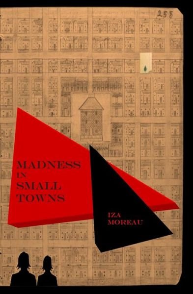 Madness in Small Towns: (Small Town Series, Number 2) - Iza Moreau - Bøker - CreateSpace Independent Publishing Platf - 9781481929950 - 24. januar 2013