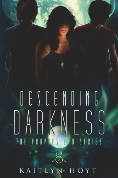 Cover for Kaitlyn Hoyt · Descending Darkness (Paperback Book) (2015)