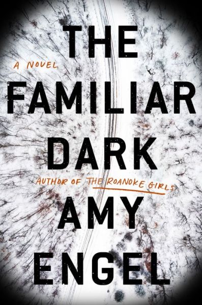 Cover for Amy Engel · The Familiar Dark: A Novel (Hardcover Book) (2020)