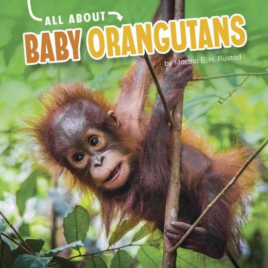 Cover for Martha E H Rustad · All about Baby Orangutans (Hardcover Book) (2021)