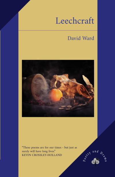 Cover for David Ward · Leechcraft (Paperback Bog) (2024)