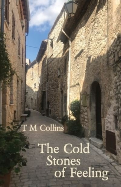 Cover for T M Collins · The Cold Stones of Feeling (Paperback Book) (2020)