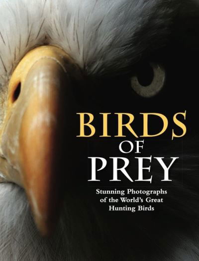 Cover for Tom Jackson · Birds of Prey: Stunning Photographs of the World's Great Hunting Birds - Animals (Innbunden bok) (2021)