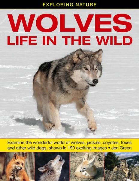 Cover for Dr Jen Green · Exploring Nature: Wolves - Life in the Wild: Examine the Wonderful World of Wolves, Jackals, Coyotes, Foxes and Other Wild Dogs, Shown in 190 Exciting Images (Hardcover Book) (2015)