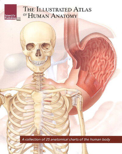 Cover for Scientific Publishing · Illustrated Atlas of Human Anatomy: A Collection of 25 Anatomical Charts of the Human Body (Paperback Book) (2009)