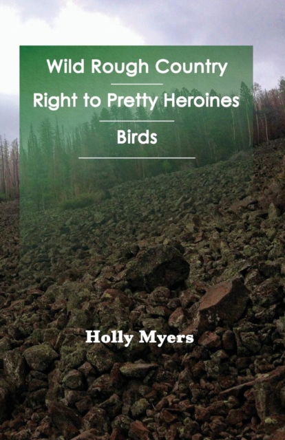 Wild Rough Country - Holly Myers - Books - Then/And - 9781947322950 - June 25, 2019