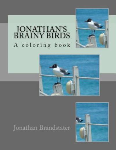 Cover for Jonathan Jay Brandstater · Jonathan's Brainy Birds (Paperback Book) (2017)