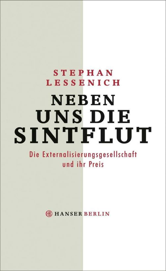 Cover for Lessenich · Neben uns die Sintflut (Book)